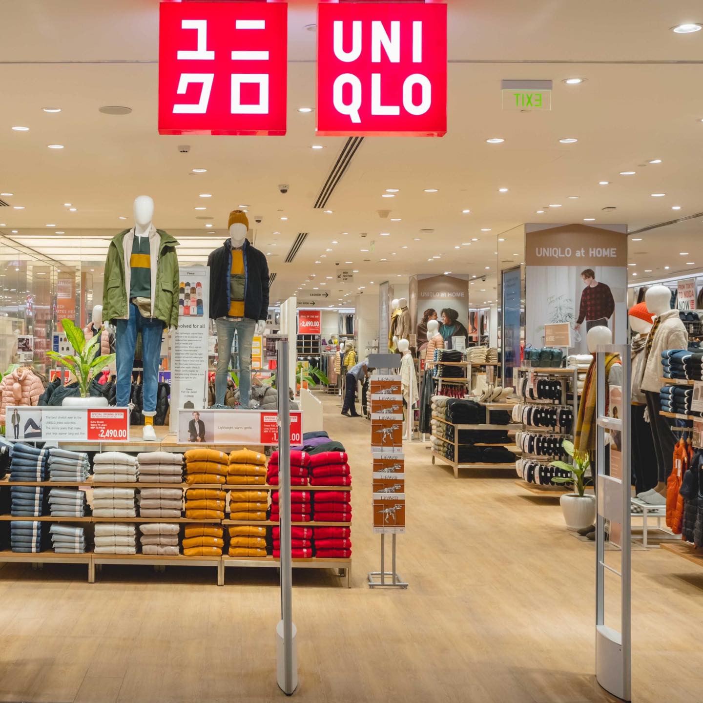 Latest News  Videos Photos about uniqlo
