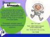 Events for kids in Gurgaon - Young Astronauts Workshop on 14 December 2012 at the Stellar Children's Museum Ambience Mall Gurgaon, 4.30.pm to 5.30.pm